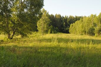 Działka rolno-leśna 0,46 ha, CIASNE, gm. Supraśl