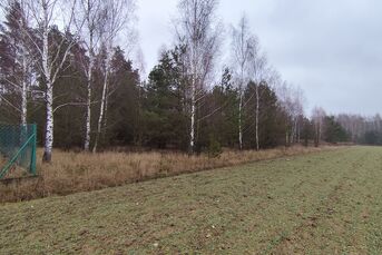 Urokliwa działka, 1404m2, KARAKULE