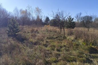 Atrakcyjna działka o pow. 1604m2, NAREW