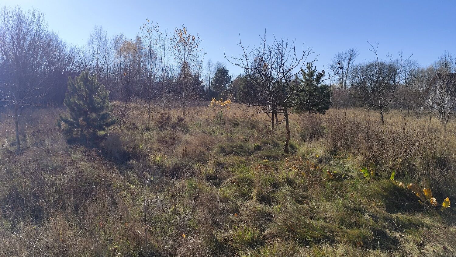 Atrakcyjna działka o pow. 1604m2, NAREW