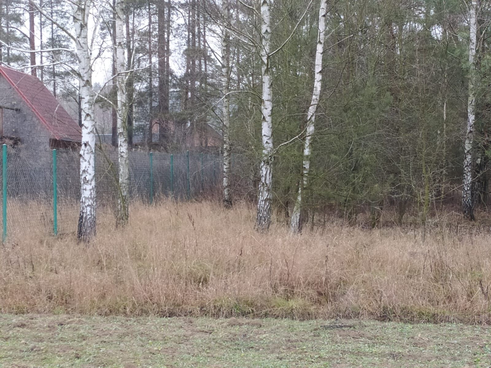 Urokliwa działka, 1404m2, KARAKULE