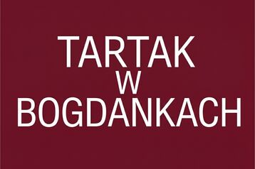 Osoba do pracy w tartaku.