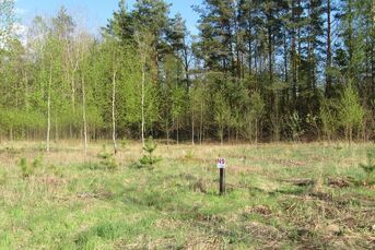 Atrakcyjna działka o pow. 1251m2, NIEWODNICA Kość.