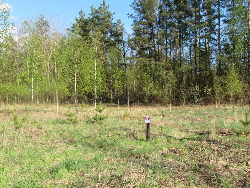 Atrakcyjna działka o pow. 1251m2, NIEWODNICA Kość.