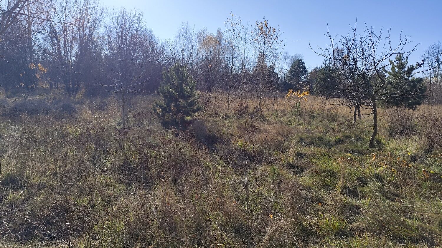 Działka o pow. 1604m2, NAREW