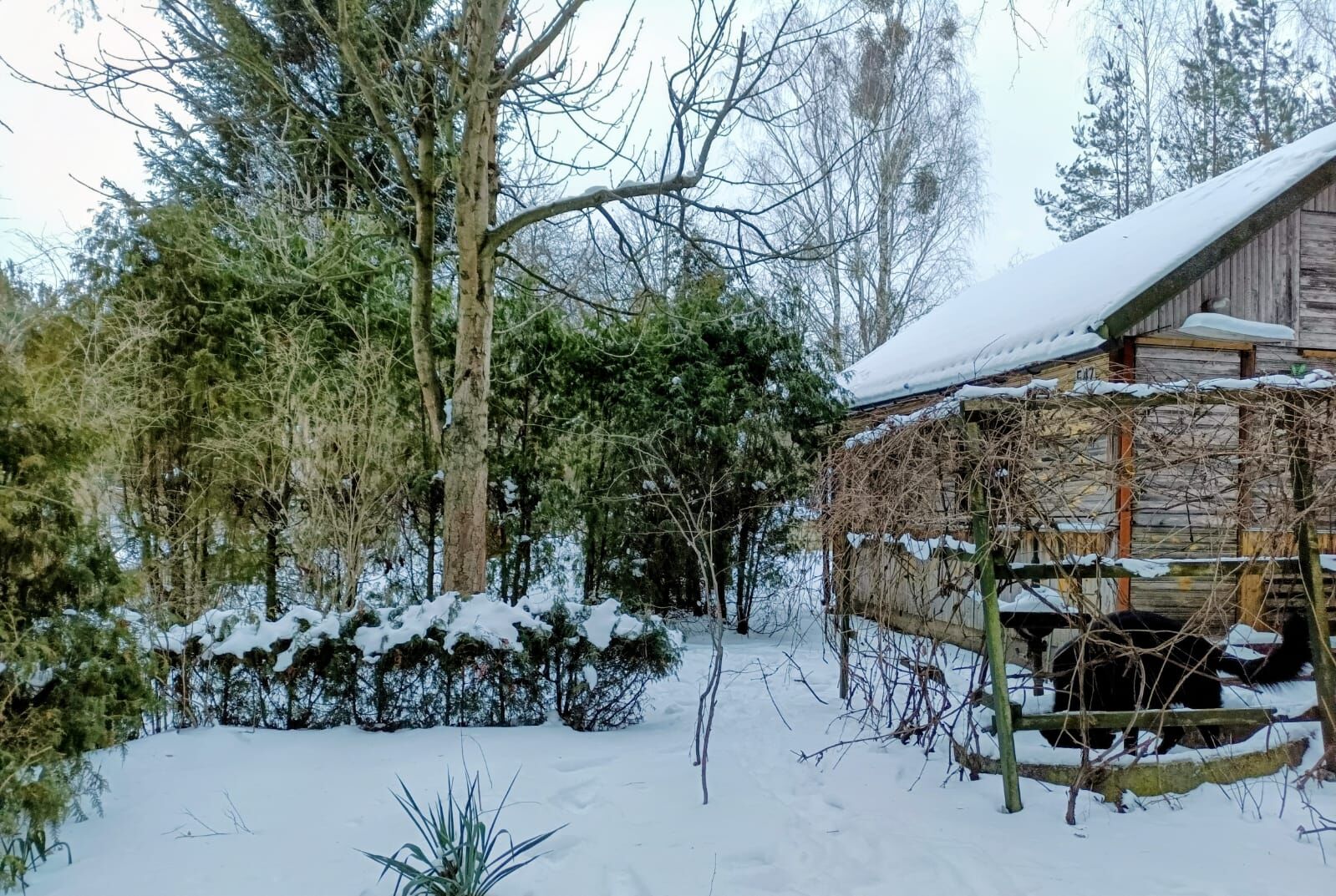 *Działka ROD - Białystok, Bagnówka, 427 m. kw.