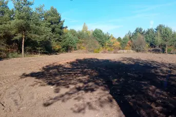 Zarób na CPK – niektórzy już zarabiają!...;) 