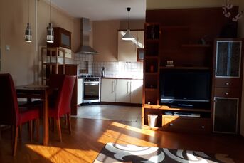 Mieszkanie do wynajęcia, Centrum- ul. Podleśna