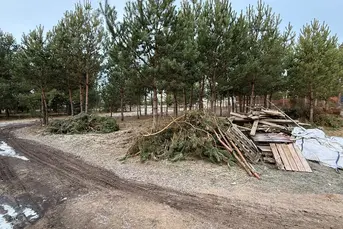 Zlecę uprzątnięcie gałęzi i drewna po budowie