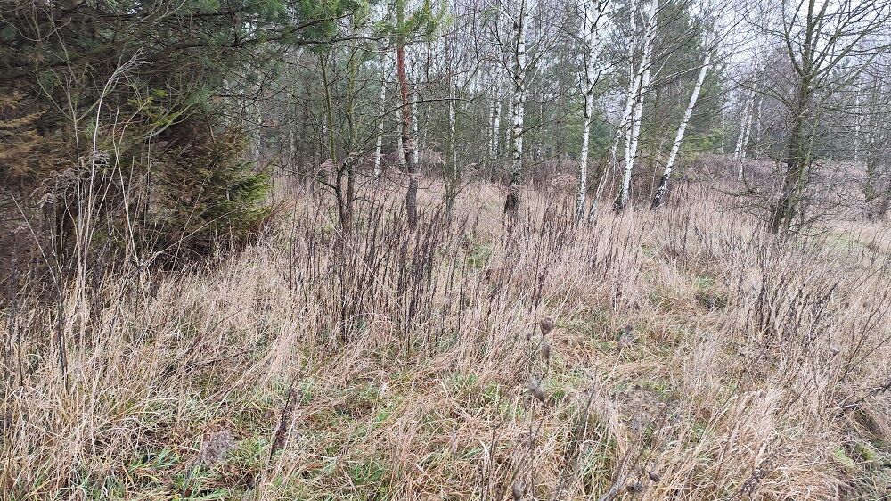 Atrakcyjna działka, 1136m2, KARAKULE