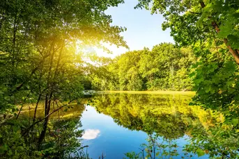 Kupię działkę rolną lub rolno/budowalną