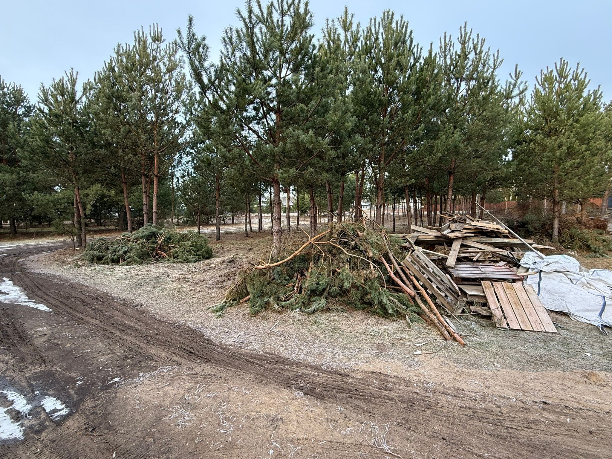 Zlecę uprzątnięcie gałęzi i drewna po budowie