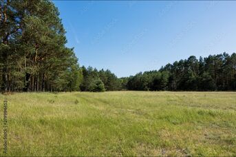 Działka 928 m2 Nowodworce