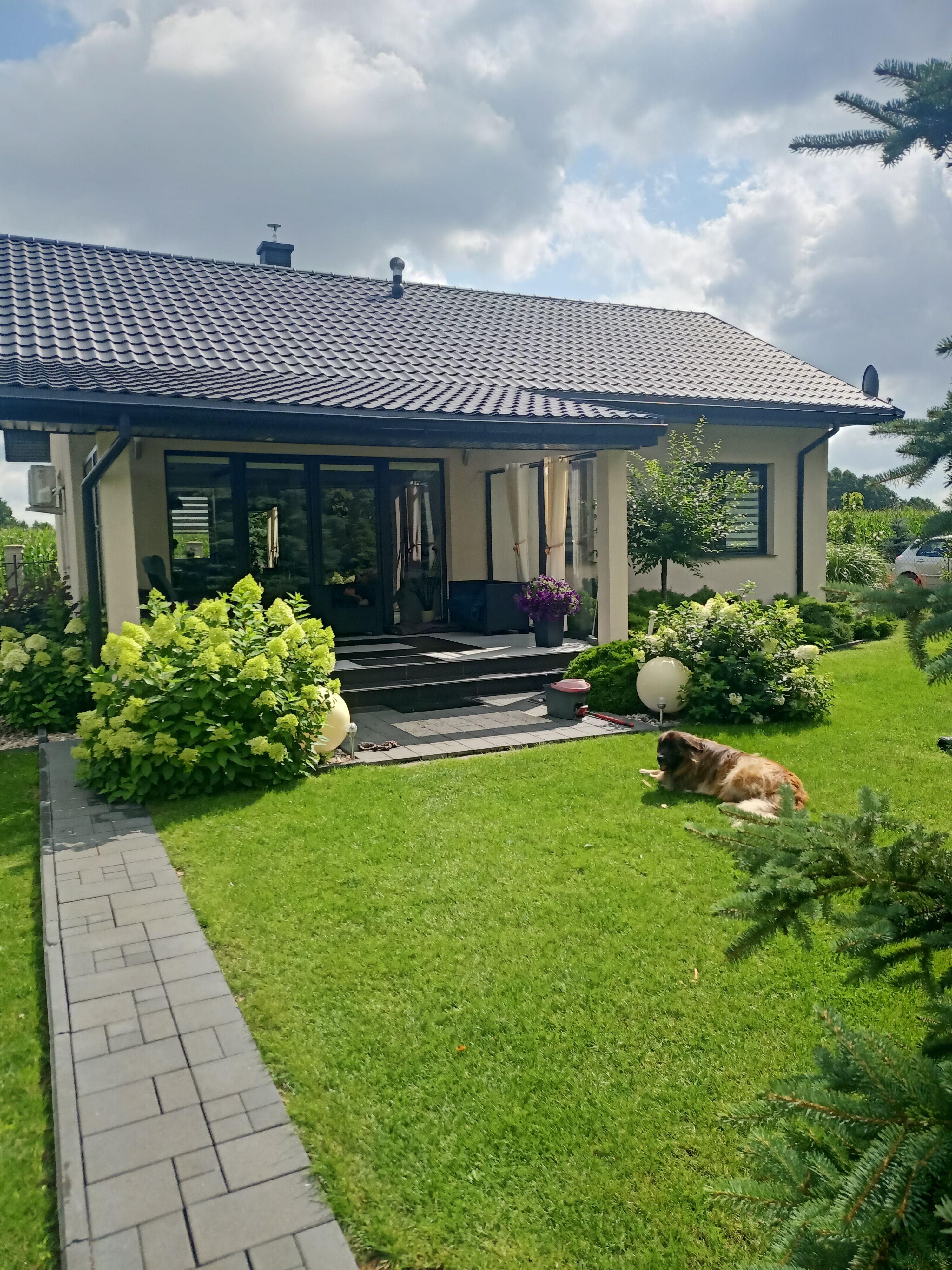 Sprzedam 5 letni mały dom