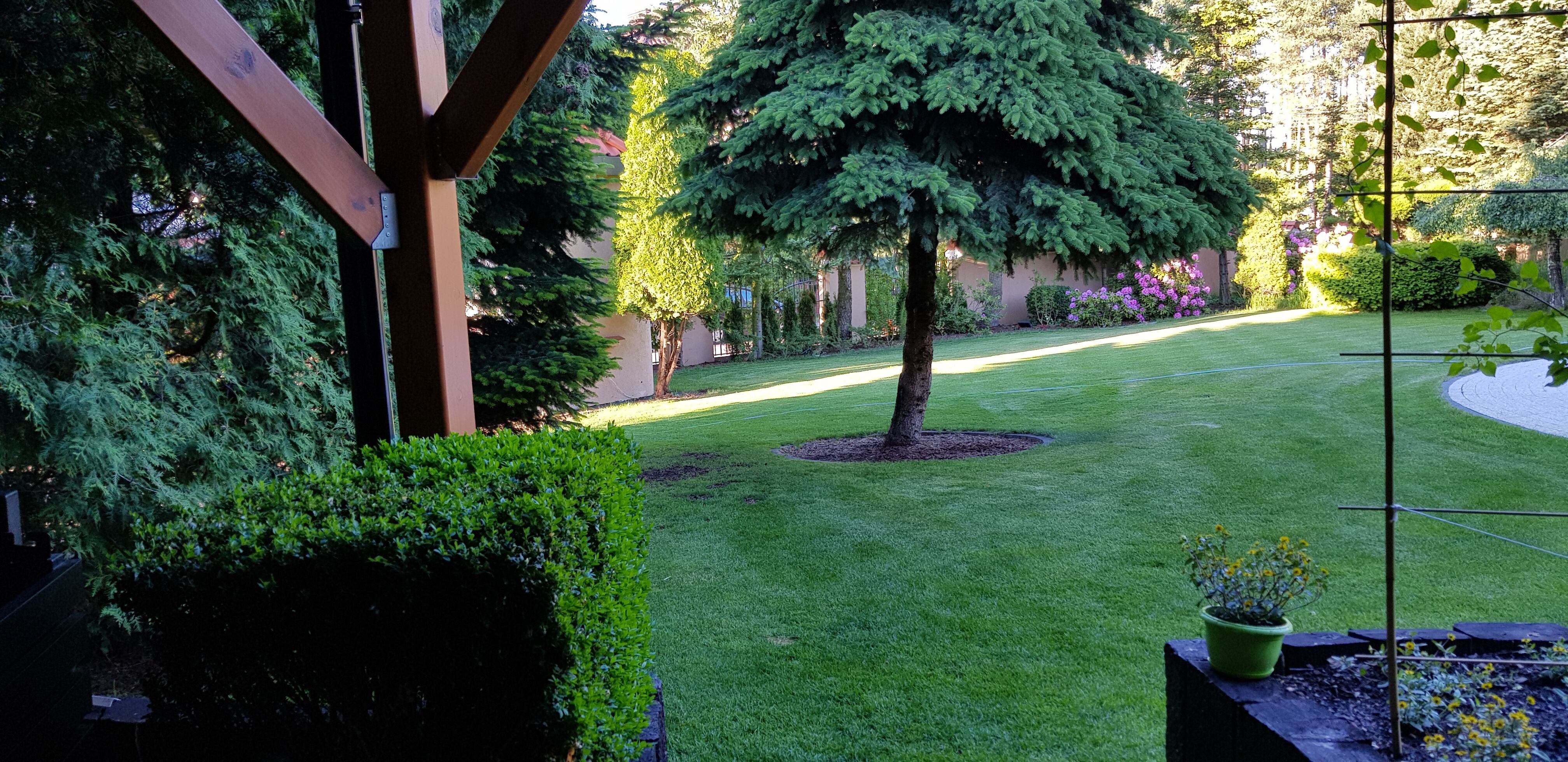 Szukam do prac w ogrodzie przy domku