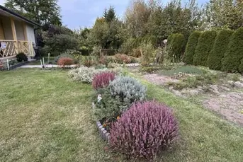 Sprzedam działkę ROD pod Białymstokiem