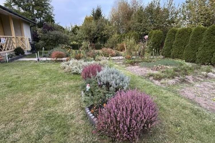 Sprzedam działkę ROD pod Białymstokiem