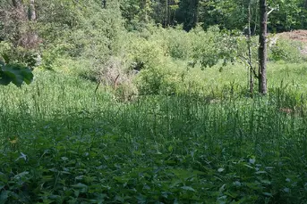 Działka rolna o pow. 8,28 ha, gm. NAREW