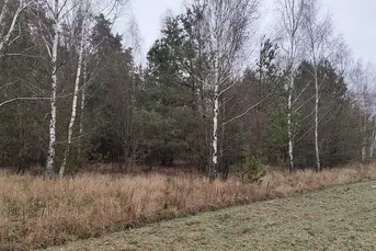 Urokliwa działka, 1404m2, KARAKULE