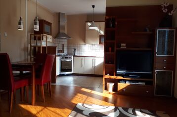 Mieszkanie do wynajęcia, Centrum- ul. Podleśna