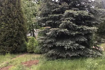 ROD działka rekreacyjna z domkiem Białystok 