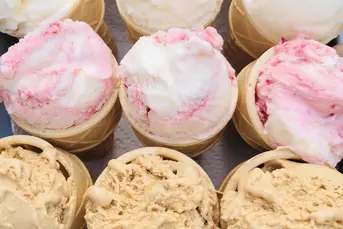 Praca w wytwórni lodów rzemieślniczych 