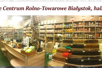 Sprzedawca Obsługa klienta sklep GRYCZNKA ANDERSA