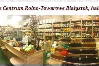 Sprzedawca Obsługa klienta sklep GRYCZNKA ANDERSA