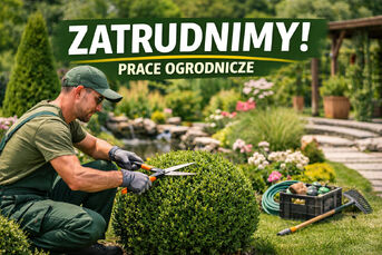 Zatrudnię do prac ogrodniczych