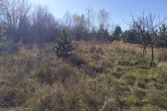 Działka o pow. 1604m2, NAREW