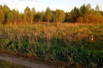 działka 2300m2 warunki zabudowy Ploski gm.Bielsk 