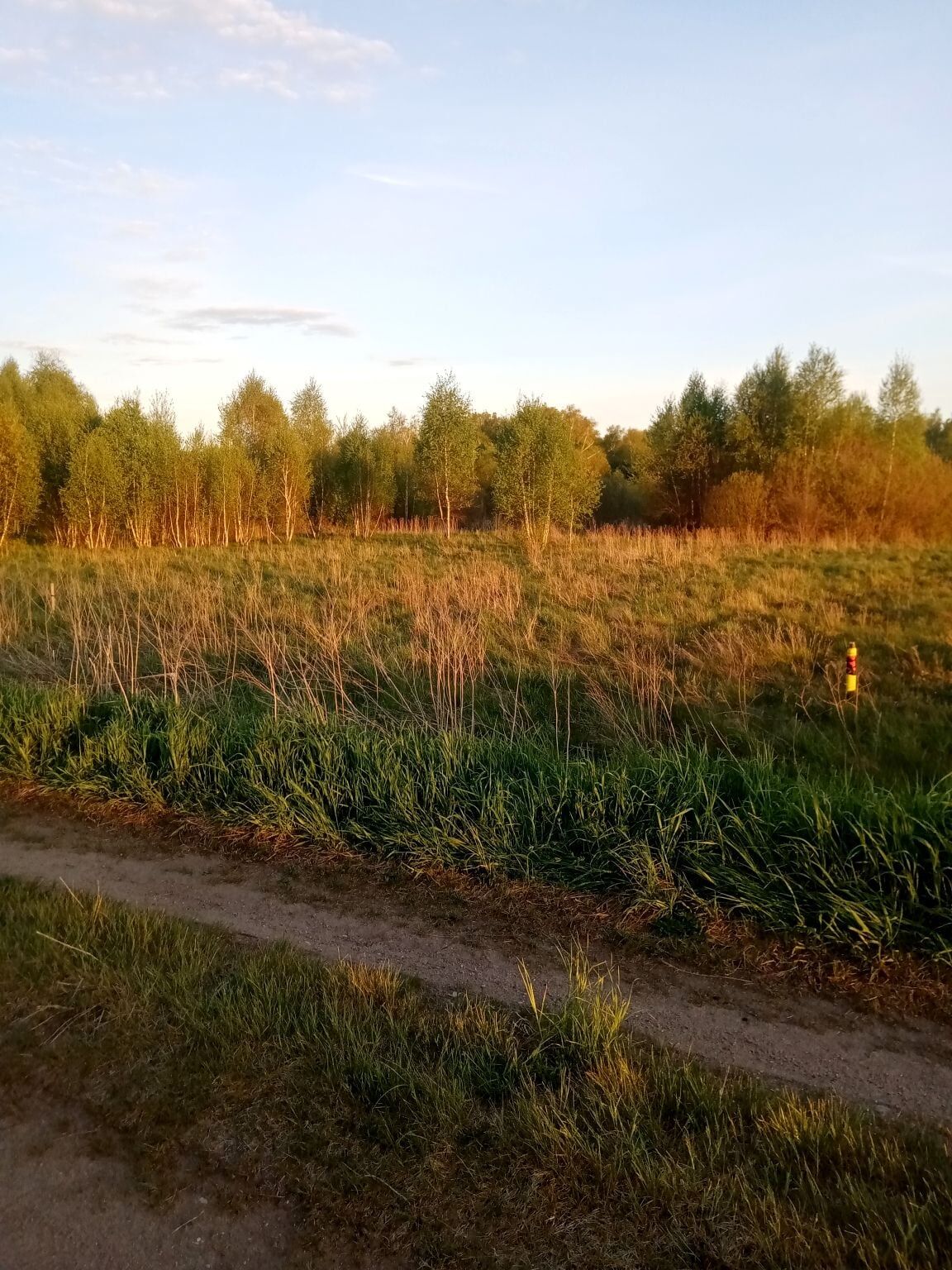 działka 2300m2 warunki zabudowy Ploski gm.Bielsk 