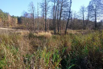 Działka rolna - pow. 8,3 ha, gm. NAREW