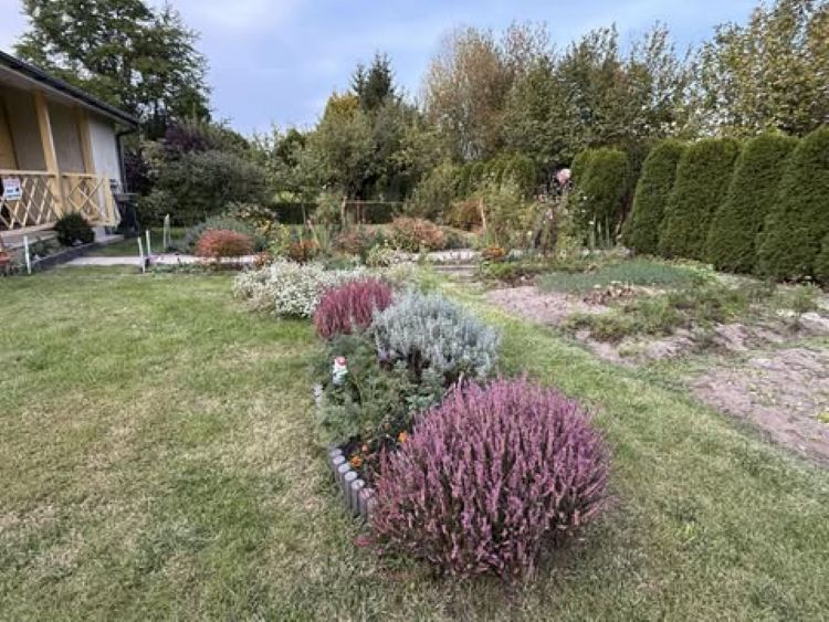 Sprzedam działkę ROD pod Białymstokiem