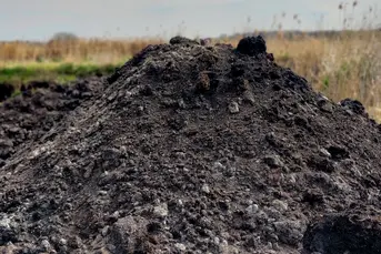 Sprzedam czarnoziem, Białystok i okolice