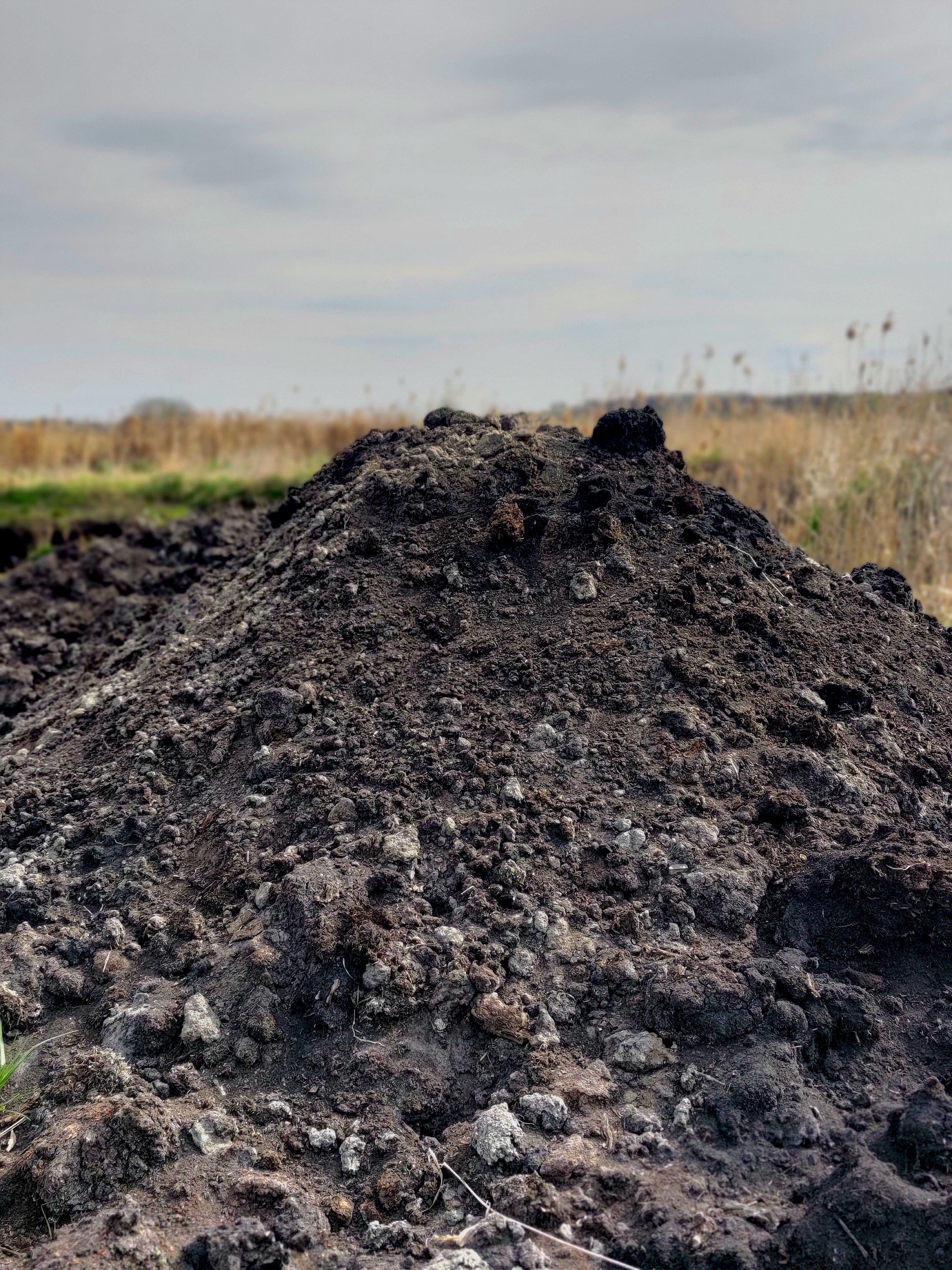 Sprzedam czarnoziem, Białystok i okolice