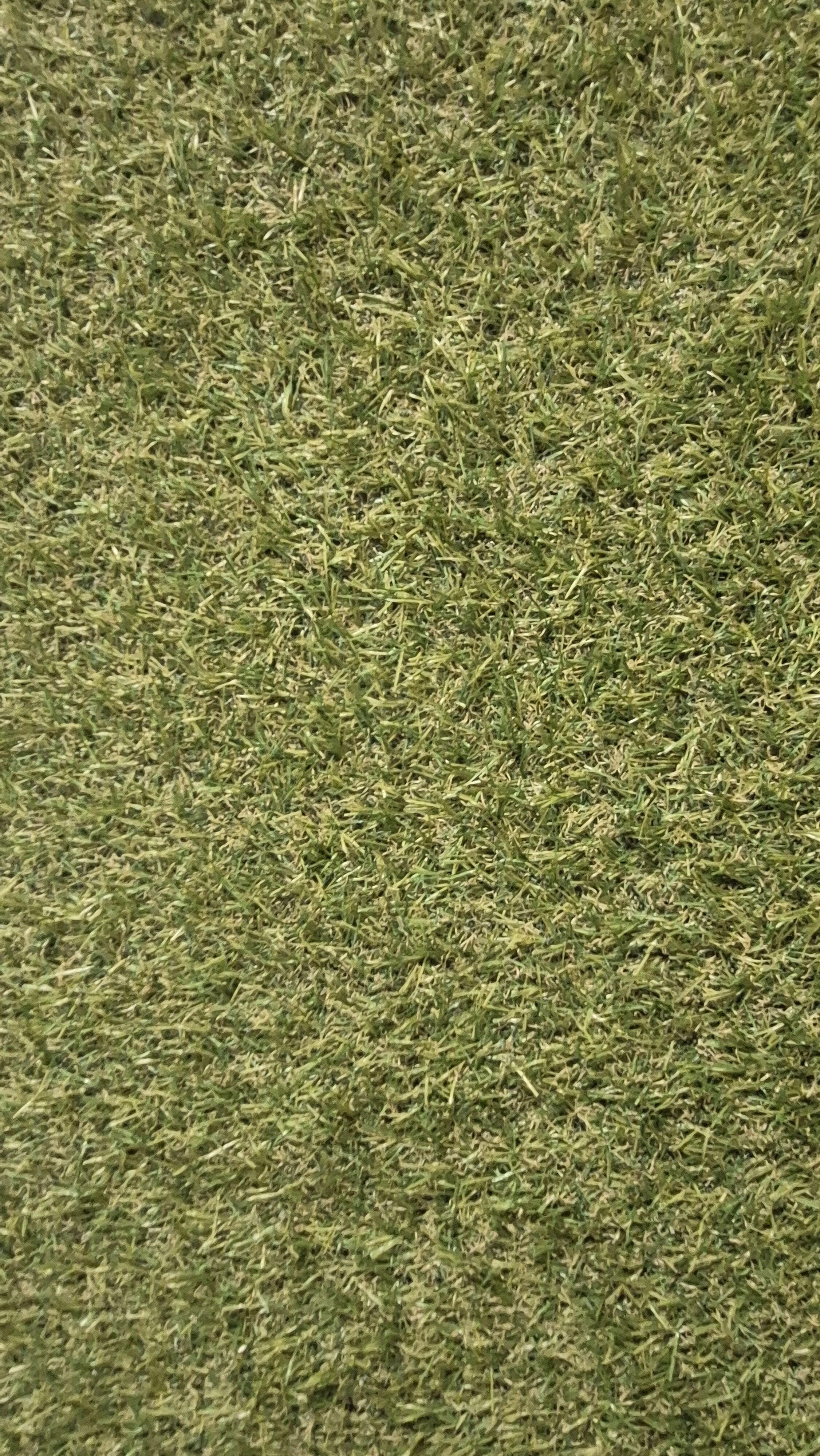 Sztuczna trawa - różne wysokości, rodzaje, bardzo konkurencyjna cena