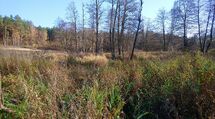 Działka rolna o pow. 8,28 ha, gm. NAREW