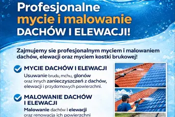 Profesjonalne mycie i malowanie dachów, elewacji i