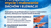 Profesjonalne mycie i malowanie dachów i elewacji!