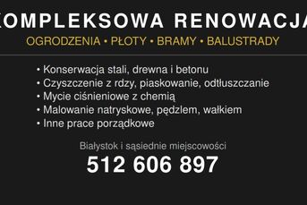 Profesjonalne Usługi Malarskie i Konserwatorskie
