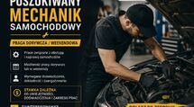 Zatrudnię dorywczo mechanika samochodowego 