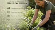 Zatrudnię dorywczo kobietę do pielenia ogrodów
