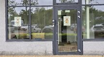 nauczyciel języka angielskiego/przedszkole