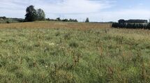 1370m2 budowlana koło Białegostoku 