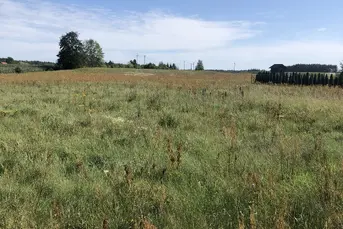 1370m2 budowlana koło Białegostoku 