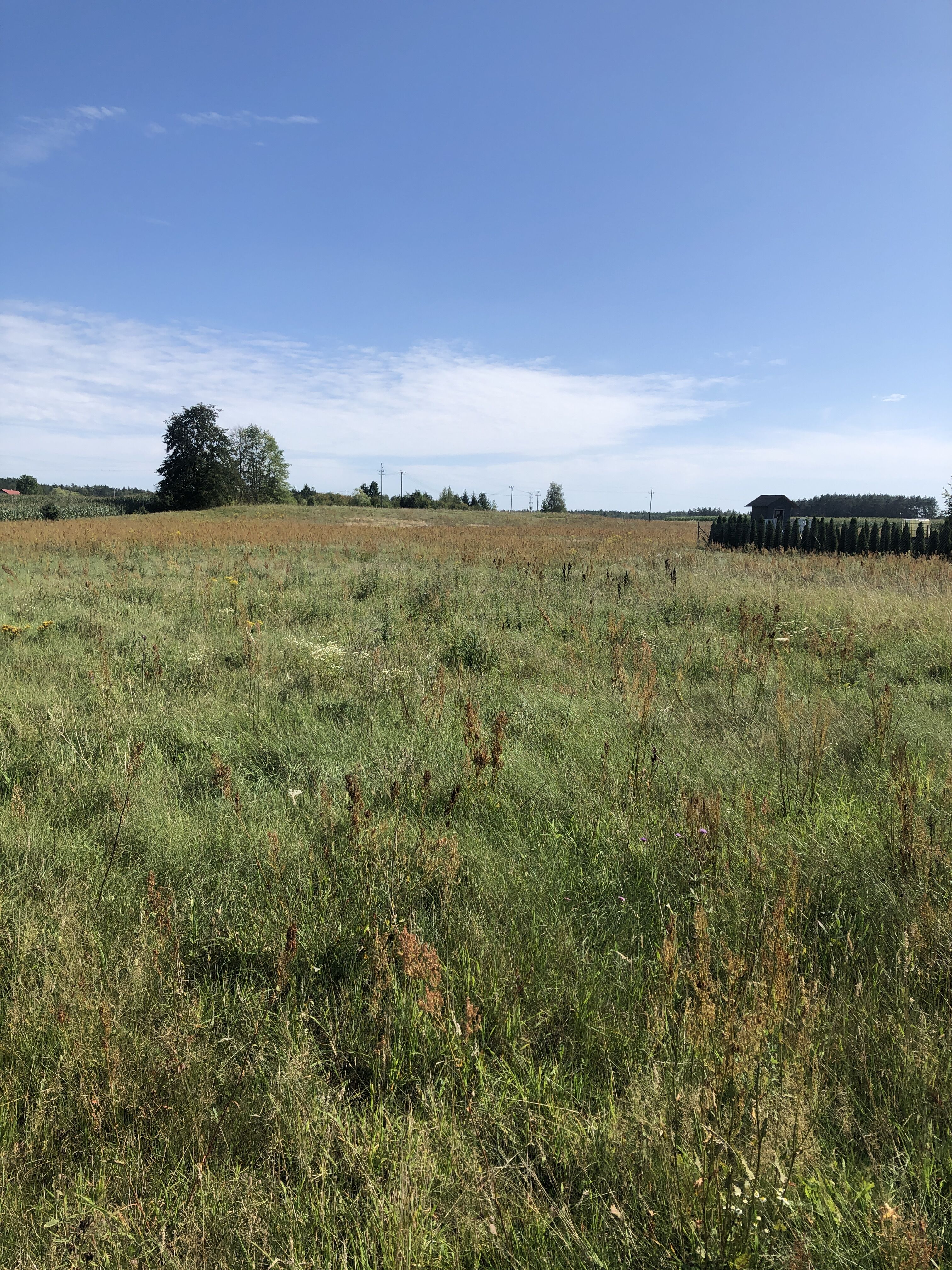 1370m2 budowlana koło Białegostoku 
