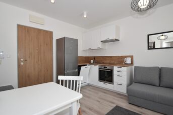 Kawalerka 2 pokoje 26m2,taras 25m2, Wierzbowa 2,Ip