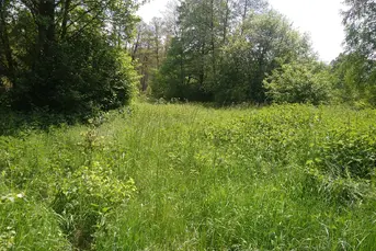 Działka rolna o pow. 8,28 ha, gm. NAREW
