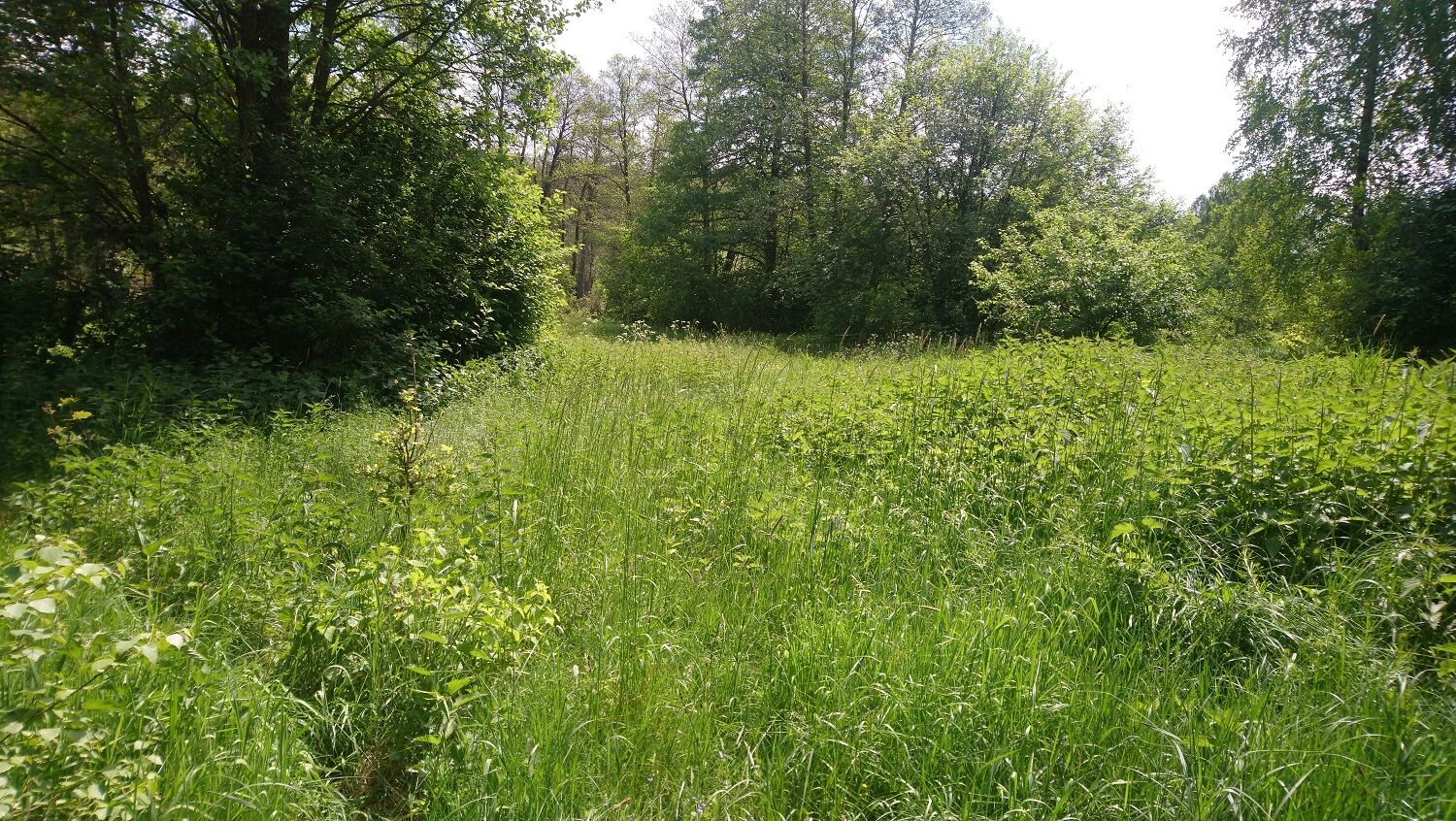 Działka rolna o pow. 8,28 ha, gm. NAREW